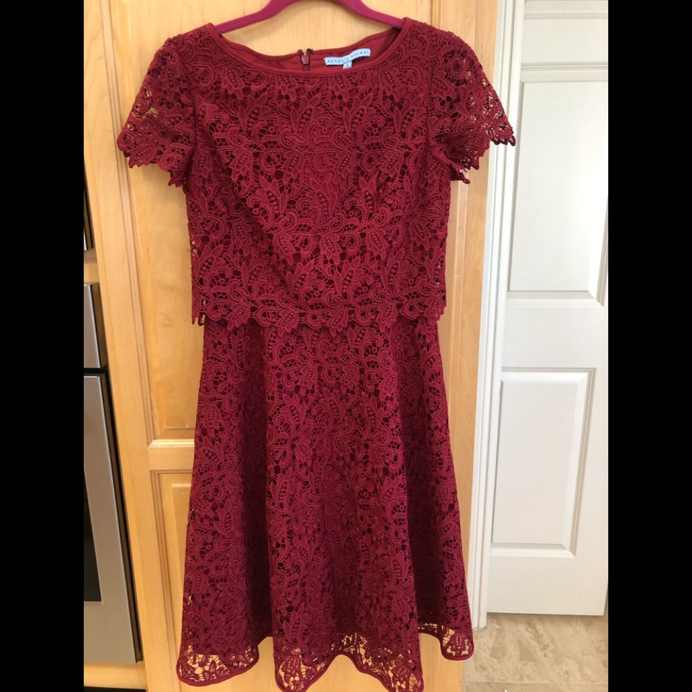BNWOT Antonio Melani dress